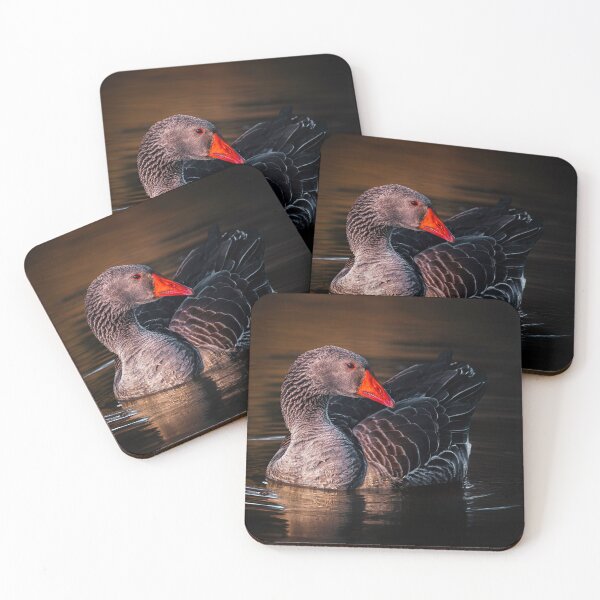 Item preview, Captivating Light designed and sold by Jim Love.