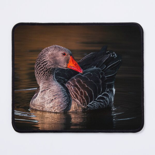 Item preview, Captivating Light designed and sold by Jim Love.