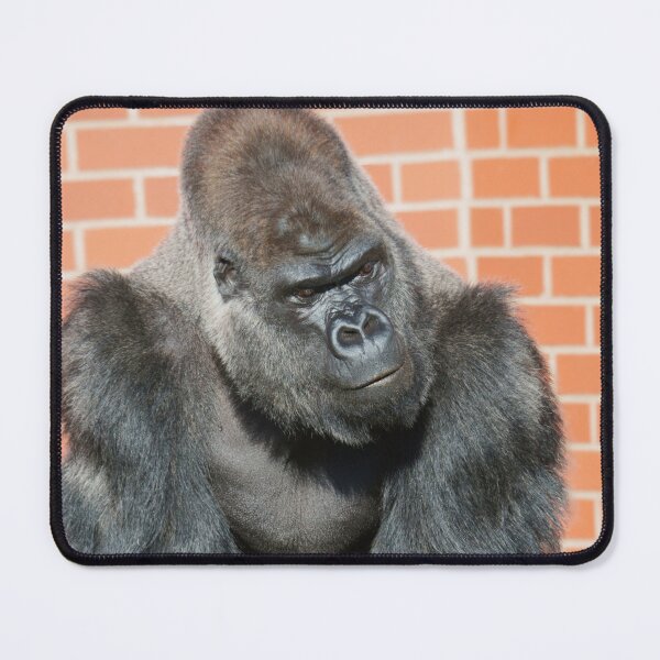 Item preview, Silverback Presence designed and sold by rawshutterbug.