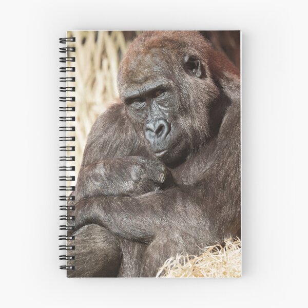 Item preview, Youthful Watch – Gorilla in Focus designed and sold by rawshutterbug.