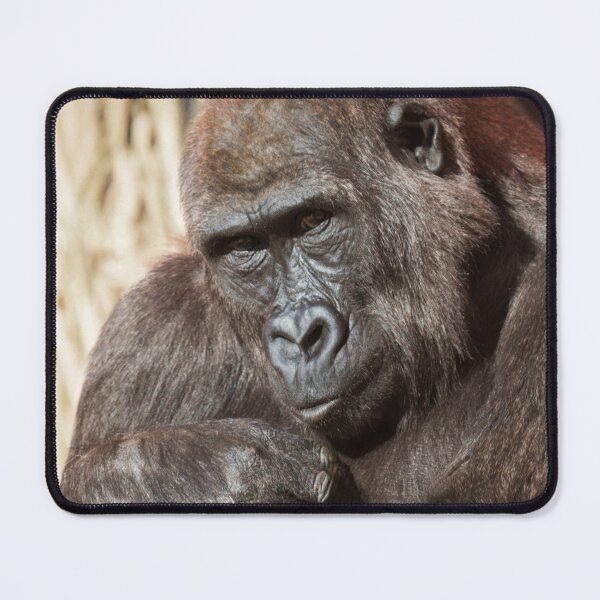 Item preview, Youthful Watch – Gorilla in Focus designed and sold by rawshutterbug.