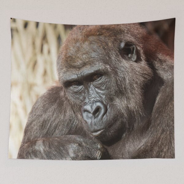 Item preview, Youthful Watch – Gorilla in Focus designed and sold by rawshutterbug.