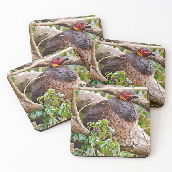 Item preview, MEGAPODE ~ Brush-turkey DJITDX8NRWQ by David Irwin designed and sold by tasmanianartist.