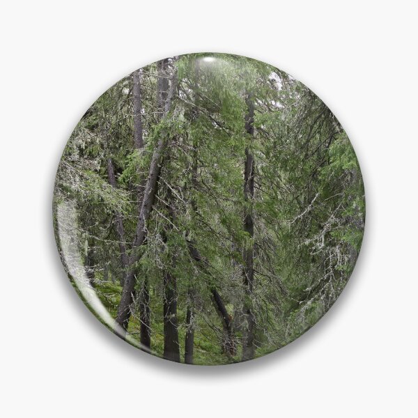 Item preview, Old forest. Konttainen 2025 designed and sold by Jouko Lehto Photography.