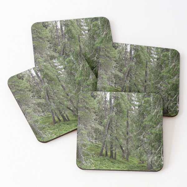 Item preview, Old forest. Konttainen 2025 designed and sold by Jouko Lehto Photography.