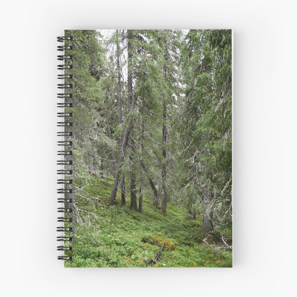 Artikelvorschau, Alter Wald. Konttainen 2025 entworfen und verkauft von Jouko Lehto Photography.