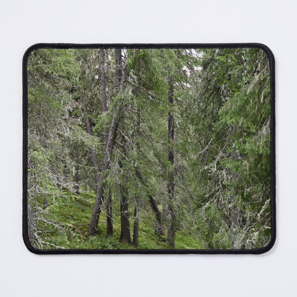 Item preview, Old forest. Konttainen 2025 designed and sold by Jouko Lehto Photography.