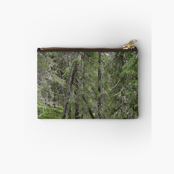 Artikelvorschau, Alter Wald. Konttainen 2025 entworfen und verkauft von Jouko Lehto Photography.