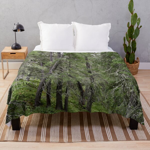 Item preview, Old forest. Konttainen 2025 designed and sold by Jouko Lehto Photography.