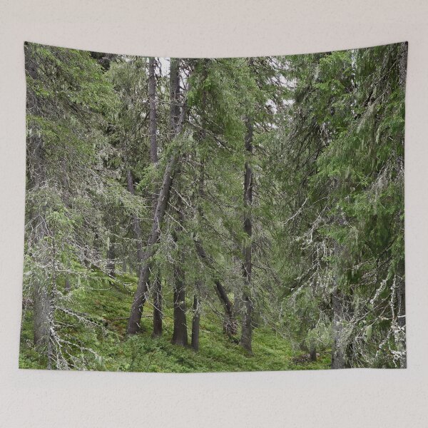 Item preview, Old forest. Konttainen 2025 designed and sold by Jouko Lehto Photography.