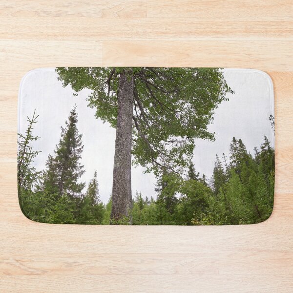Item preview, The height of an aspen. Konttainen 2025 designed and sold by Jouko Lehto Photography.
