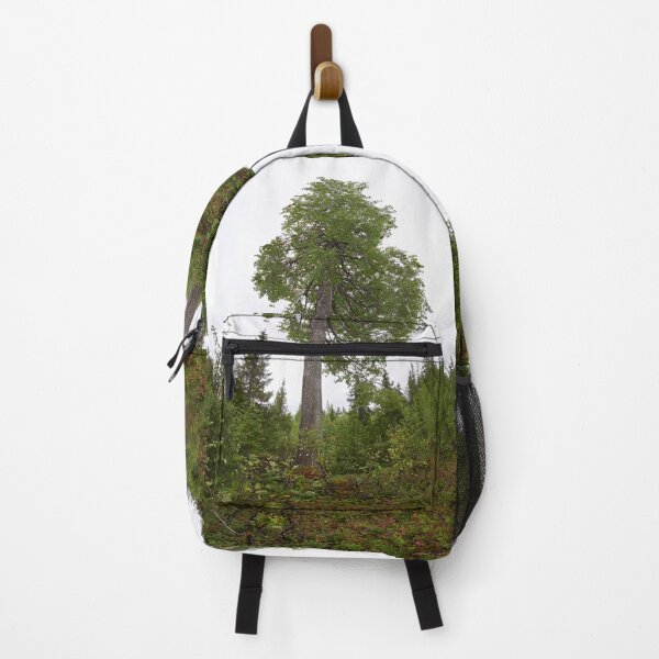 Item preview, The height of an aspen. Konttainen 2025 designed and sold by Jouko Lehto Photography.