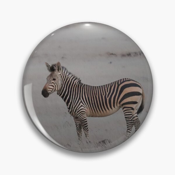 Item preview, Mountain Zebra designed and sold by Antofaiphotos.