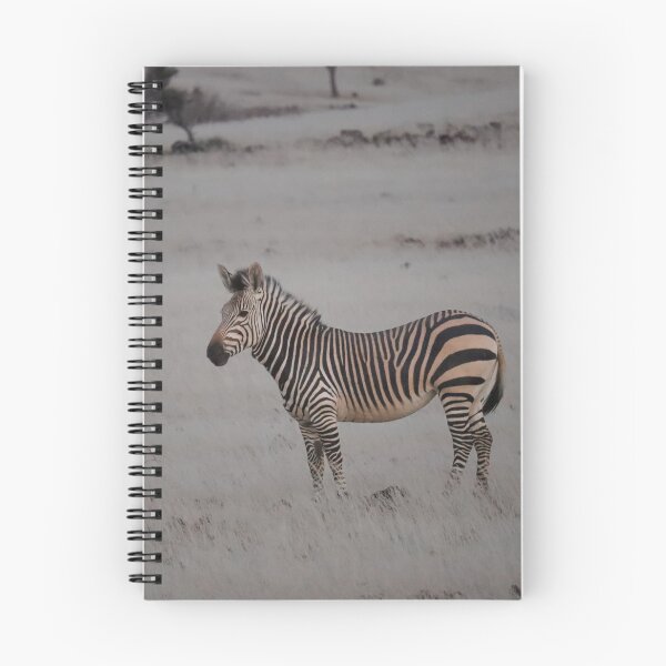 Item preview, Mountain Zebra designed and sold by Antofaiphotos.