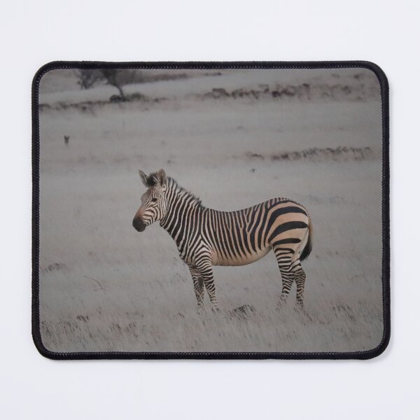 Item preview, Mountain Zebra designed and sold by Antofaiphotos.
