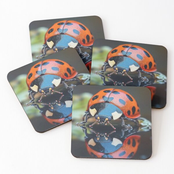 Item preview, Reflections of a Ladybug designed and sold by SpandanShop.