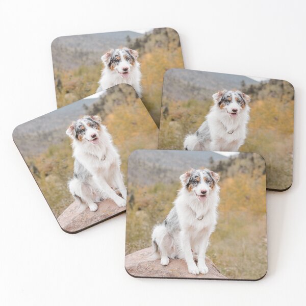 Item preview, Australian Shepherd Dog on Huge Rock Sitting designed and sold by VanGaldo.