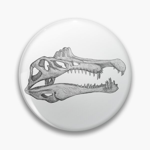 Item preview, Spinosaurus Aegiptiacus skull designed and sold by DoodleSnake58.