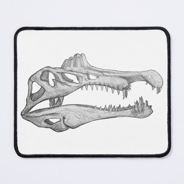 Item preview, Spinosaurus Aegiptiacus skull designed and sold by DoodleSnake58.