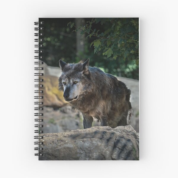 Item preview, Timberwolf designed and sold by Dagostino.