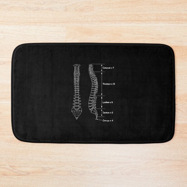 Item preview, Human Spine Anatomy 	 Christmas 	 for Physician	 designed and sold by ahhlaistuetzl.