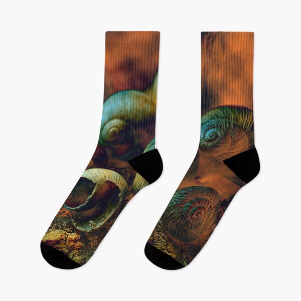 Item preview, Spirals in nature designed and sold by Sigtrix.