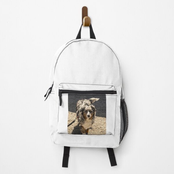 Item preview, Australian Shepherd Dog Loves Walking designed and sold by VanGaldo.