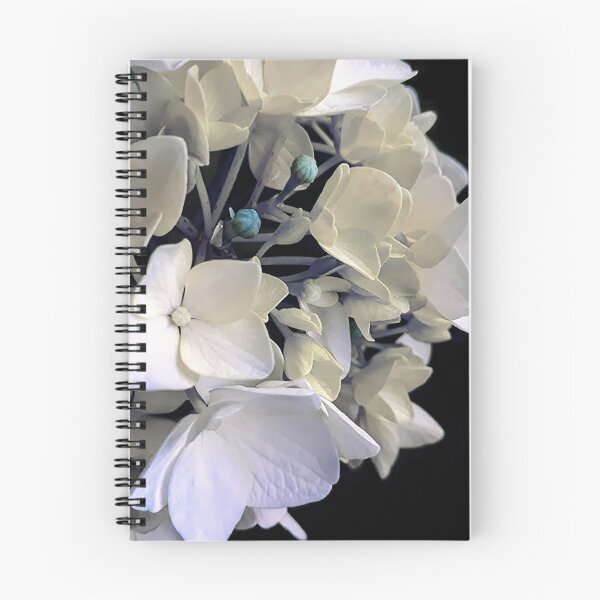 Item preview, Flower hydrangea designed and sold by TessAndre.
