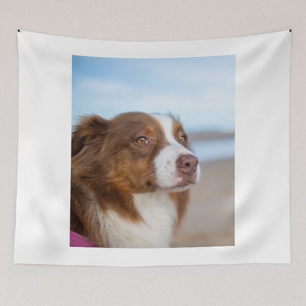 Item preview, Australian Shepherd Dog Chilling along the Beach designed and sold by VanGaldo.