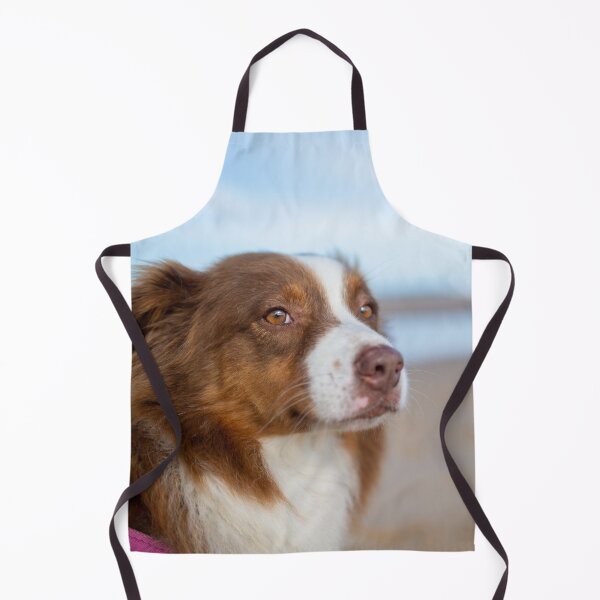Item preview, Australian Shepherd Dog Chilling along the Beach designed and sold by VanGaldo.