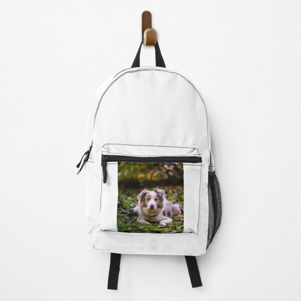 Item preview, Australian Shepherd Dog Laying on the Ground designed and sold by VanGaldo.
