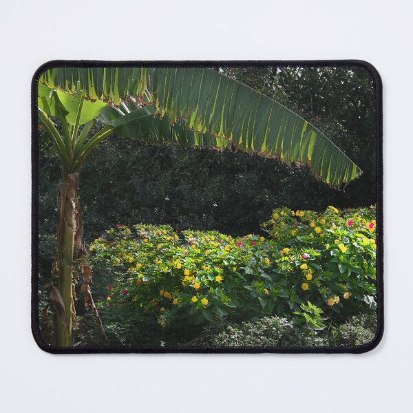 Item preview, Banana and blooms. designed and sold by Paul Pasco.
