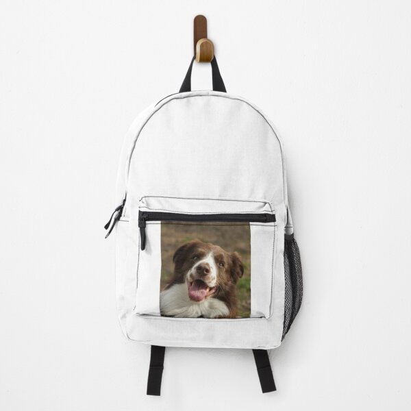Item preview, Cute Looking Australian Shepherd Dog designed and sold by VanGaldo.