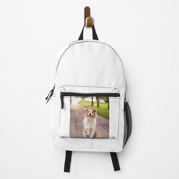 Item preview, Lovely Australian Shepherd Dog Sitting on Road designed and sold by VanGaldo.