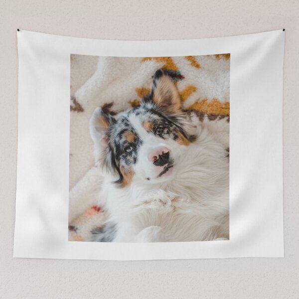 Item preview, Australian Shepherd Dog Lying on the Bed designed and sold by VanGaldo.