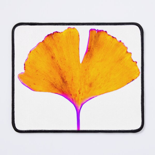 Item preview, ginkgo biloba leaf designed and sold by TessAndre.