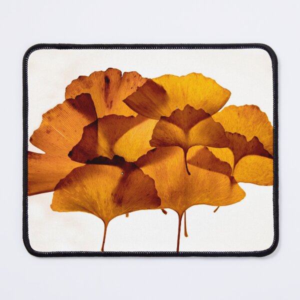 Item preview, Ginkgo Biloba Leaves-Ginkgo Leaves-Ginkgo-Golden Leaves designed and sold by TessAndre.