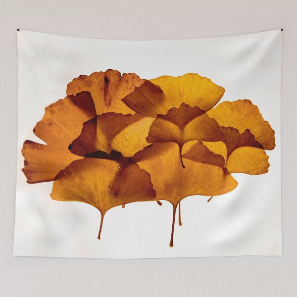 Item preview, Ginkgo Biloba Leaves-Ginkgo Leaves-Ginkgo-Golden Leaves designed and sold by TessAndre.