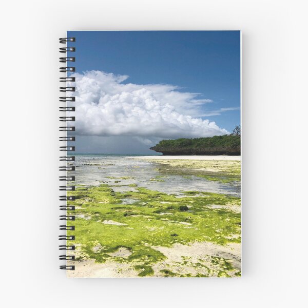 Item preview, Tanzania - Zanzibar - estuary at Pingwe designed and sold by renprovo.