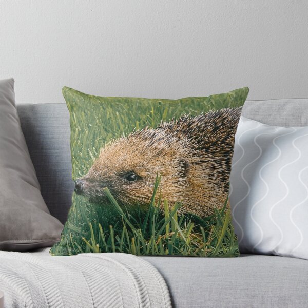 Item preview, SUMMER HEDGEHOG IN GRASS designed and sold by Richard Brookes Photography.