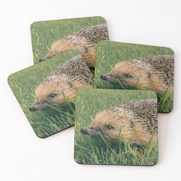 Item preview, SUMMER HEDGEHOG IN GRASS designed and sold by Richard Brookes Photography.