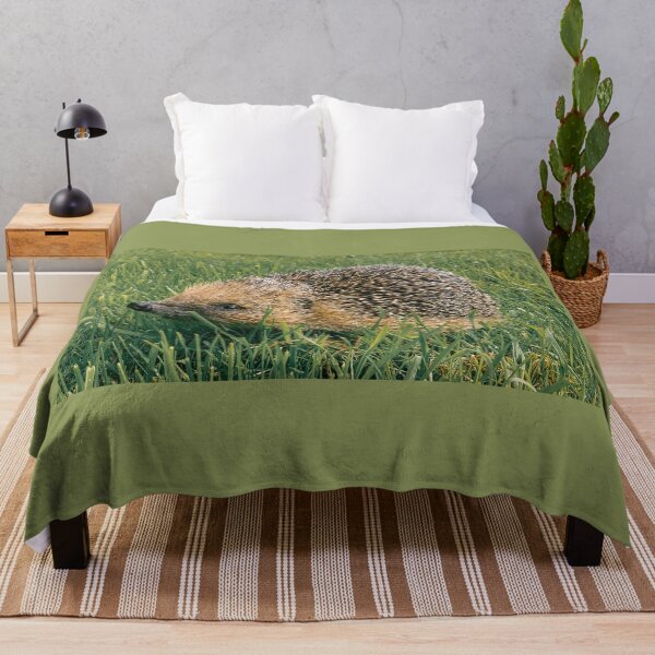Item preview, SUMMER HEDGEHOG IN GRASS designed and sold by Richard Brookes Photography.