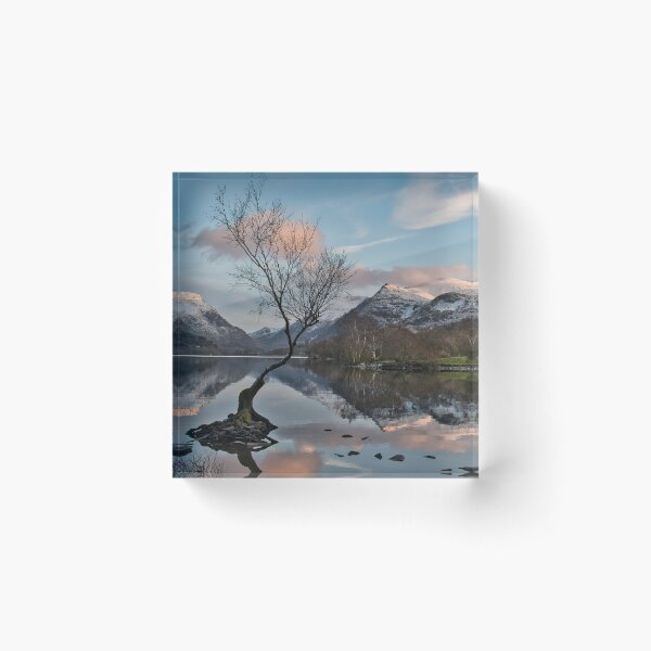 Item preview, Lonely tree and snow capped Snowdon  designed and sold by Derren Jones.