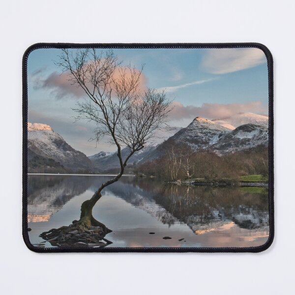 Item preview, Lonely tree and snow capped Snowdon designed and sold by Derren Jones.