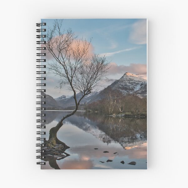 Item preview, Lonely tree and snow capped Snowdon  designed and sold by Derren Jones.