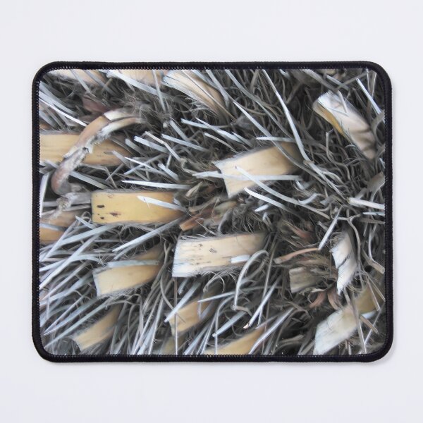Item preview, Nature's Structure - Exotic Bark designed and sold by Art-Arcade6.
