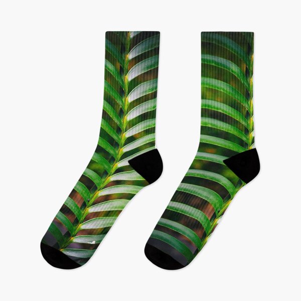 Item preview, Symmetry in Nature Palm Leaves Texture designed and sold by ea-photos.