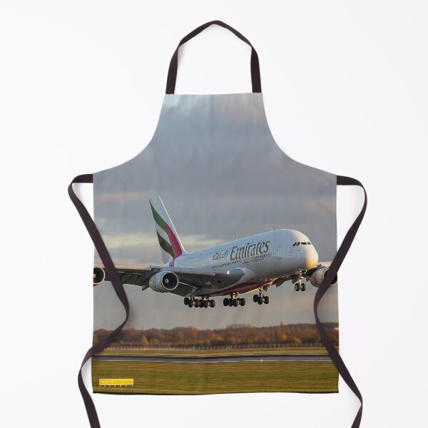 Item preview, Emirates Airbus A380 Graceful Landing designed and sold by Skyframe Aviation.