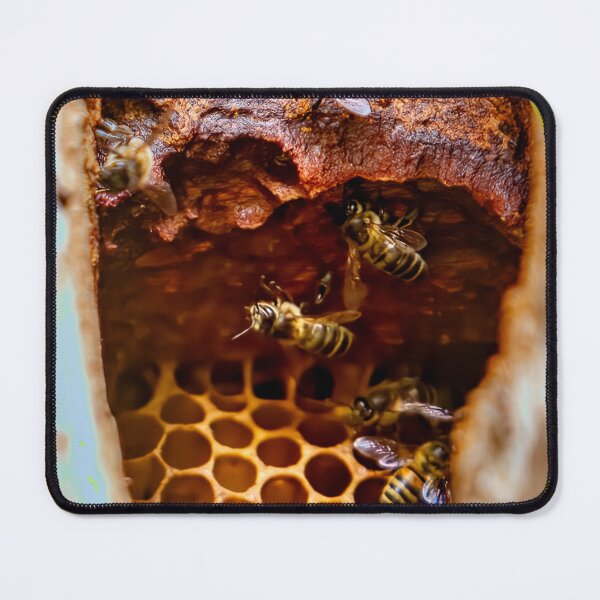 Item preview, Wild Honey Bee Hive designed and sold by Dalyndigital Photography.