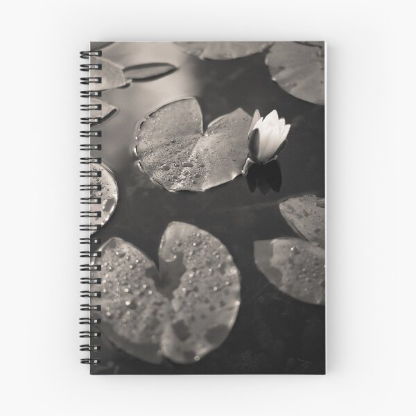 Item preview, Water Lily After Rain designed and sold by David Bowman.